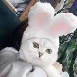 Winter Fashion Cute cat Rabbit ears Head with pet rabbit hat decoration kitten puppy plush rabbit cat hat pet supplies