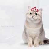 Pet Princess Clips Cute Colorful Shining Hairpin for Cat and Dog Pet Grooming Accessories Pet Crown Hair Clip