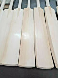 INTGAMX Genuine Leather Cricket Bat Lightweight International Player Hard Ball Bats Test Match Training Cricket Bat