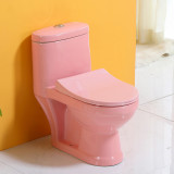 Хүүхдийн Цэцэрлэгийн Өнгөт Жорлонгийн Жорлонгийн Шаазан Угаалгын Өрөөний Хүүхдийн Бие Засах Газар