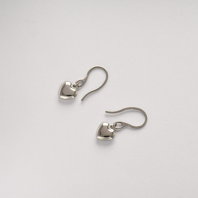 Bijoux en acier inoxydable, boucles d'oreilles—SSEGG142-34471