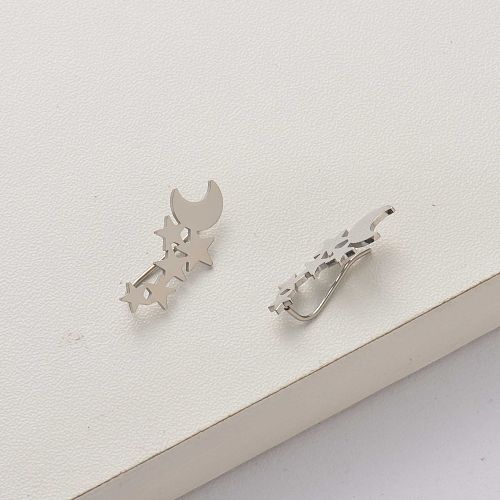 Moon and Star stainless steel earrings-SSEGG143-34312