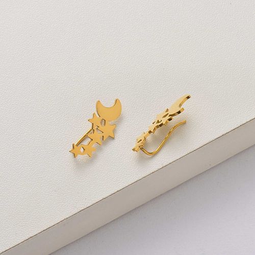 Moon and Star 18k gold plated stainless steel earrings-SSEGG143-34313
