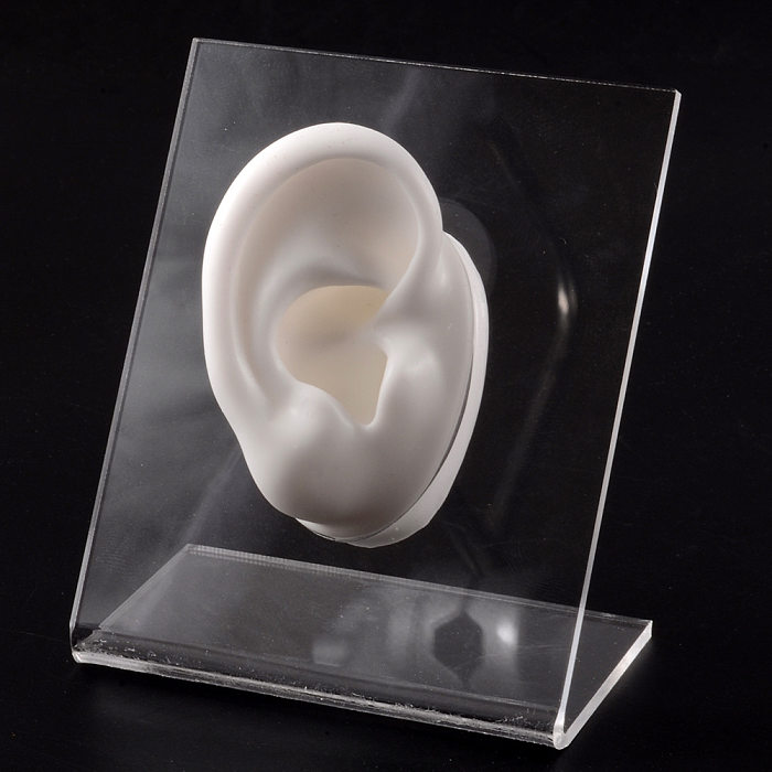 Modelo de exibição de silicone para orelhas brincos ornamento placa de exposição modelo multicolorido