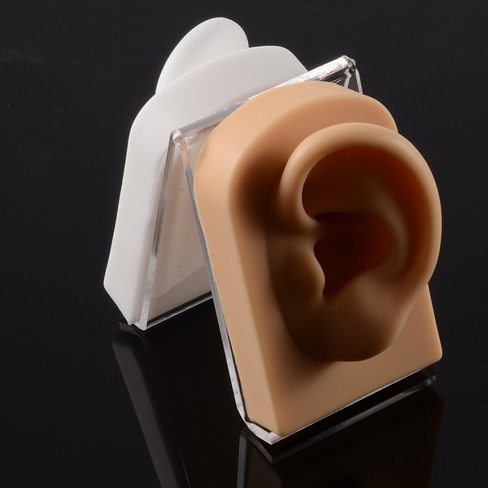 Fashion Rectangle Silica Gel Simulation Ear Model