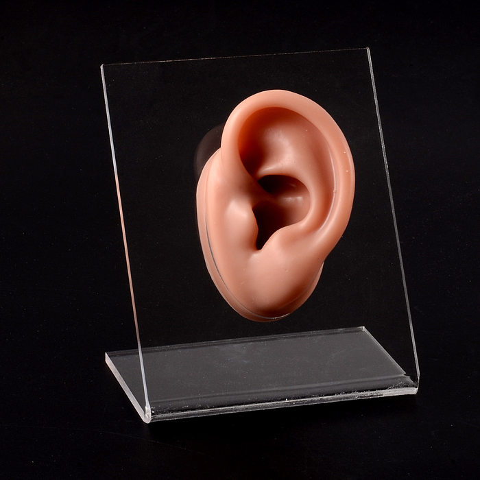 Modelo de exibição de silicone para orelhas brincos ornamento placa de exposição modelo multicolorido