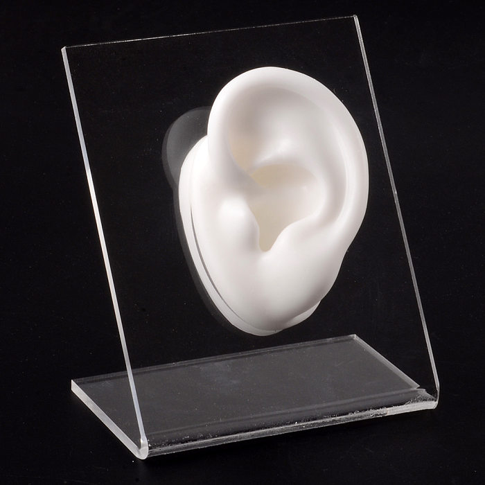 عرض الأذن سيليكون نموذج الأذن ترصيع زخرفة لوحة المعرض نموذج متعدد الألوان