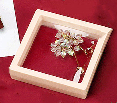 تخزين المجوهرات PE اللون شفاف صندوق عرض عائم