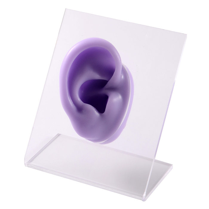 عرض الأذن سيليكون نموذج الأذن ترصيع زخرفة لوحة المعرض نموذج متعدد الألوان