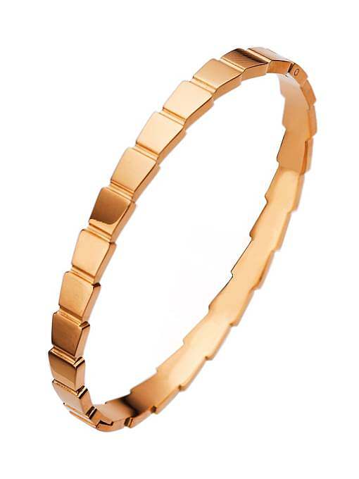 Bracelet jonc minimaliste en acier inoxydable avec serpent coquillage