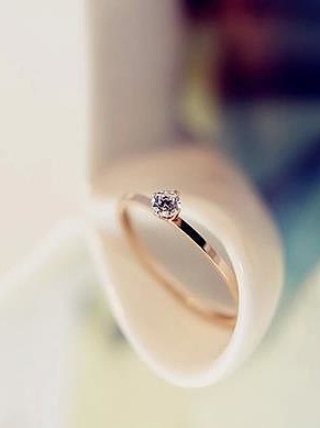 Rose Plated Zircon Valentine Gift