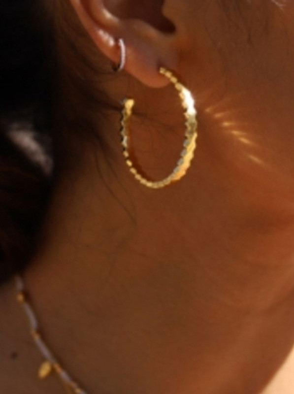 Titanium With Rose Gold Plated Simplistic Irregular Polygon Hoop Earrings