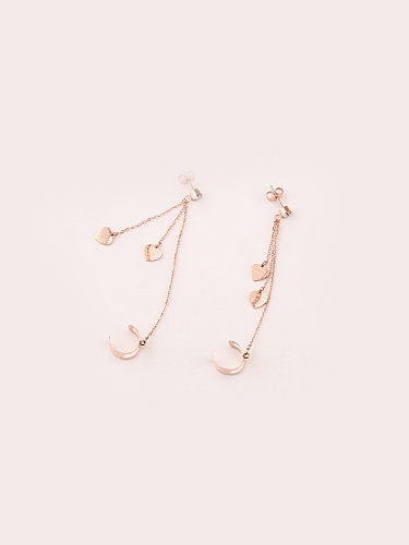 Exquisite Simple Tassel Drop Earrings