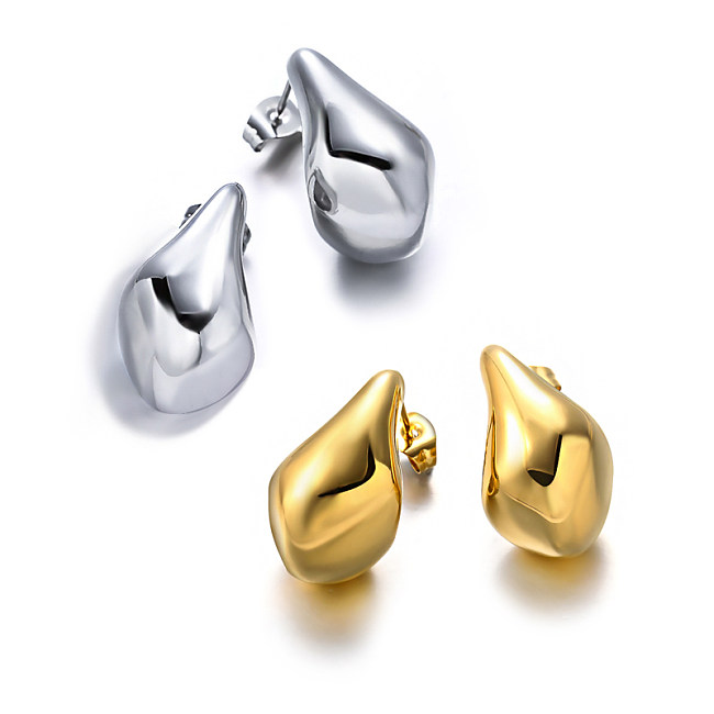 Drop Stainless Steel Earrings