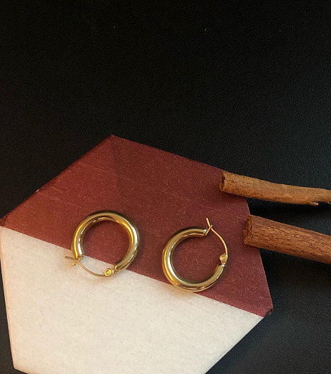 E106 Stainless Steel Earrings 18K Gold French Simplicity Ear Ring Personality Metal Design Sense Earrings Big Circle Female