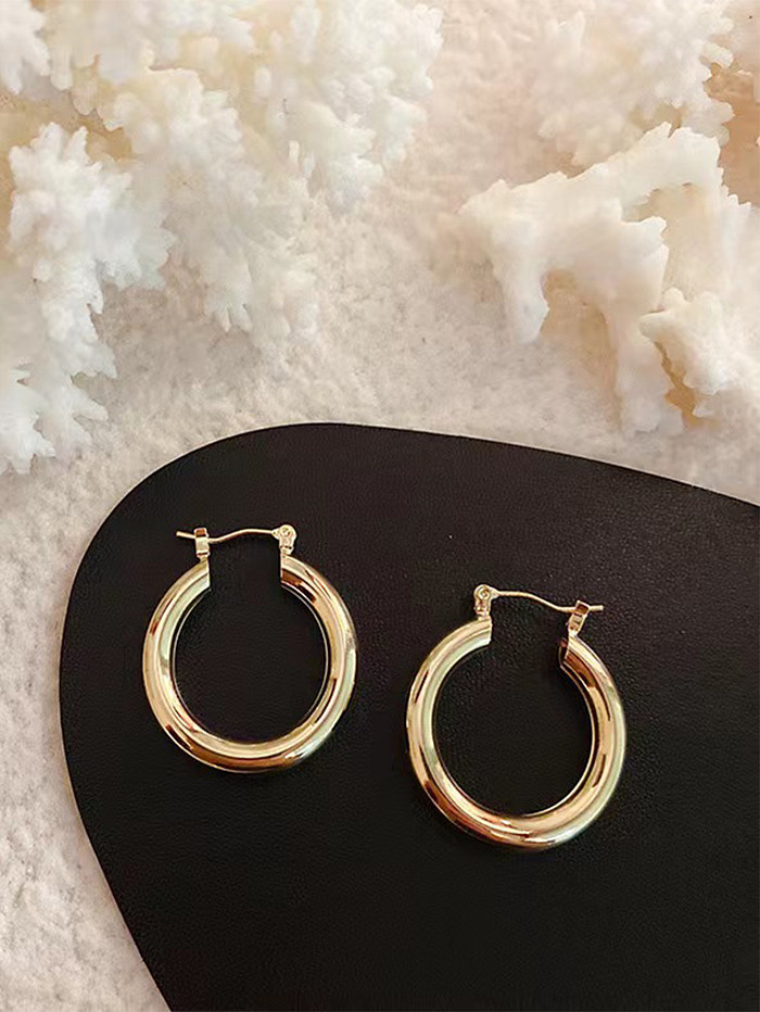 1 Pair IG Style Simple Style Circle Plating Stainless Steel  18K Gold Plated Hoop Earrings