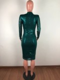 Sequins Midi Dress with Sleeves
