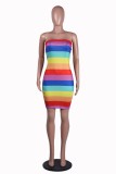 Rainbow Sexy Tube Dress