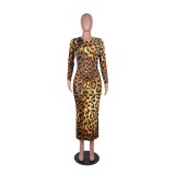 Leopard Print Long Curvy Dress with Sleeves