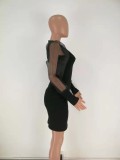 Plain Color Bodycon Dress with Mesh Sleeves