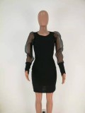 Plain Color Bodycon Dress with Mesh Sleeves