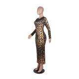 Leopard Print Long Curvy Dress with Sleeves
