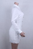 Elegant Long Sleeves Plush Mini Dress