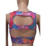 Sexy Colorful Sports Bra and Leggings