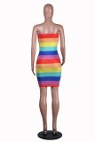 Rainbow Sexy Tube Dress