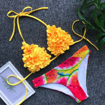 Two-Piece Print Flower Swimwear