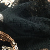 Gold and Black Sequins Club Dress