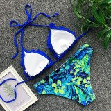 Two-Piece Print Flower Swimwear