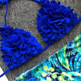 Two-Piece Print Flower Swimwear