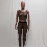 Rhinestone Sexy Black Mesh Top and Pants