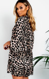 Sexy Leopard Lazy Dress with Sleeves