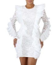 Lace Long Sleeve Detailed Party Dress