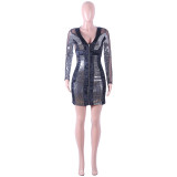Zipped Up Sequins Black and Silver Party Dress
