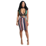 Sexy Multi-Color Stripes Crop Top and Slim Skirt