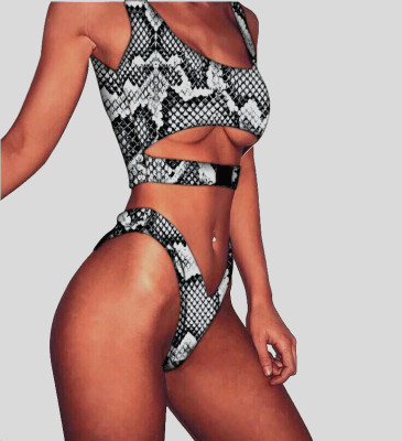 Sexy Cut Out Two Piece Swimsuit