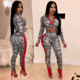Two-piece Snake Skin Print Long Sleeve Top and Tight Leggings Set