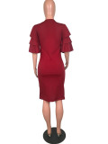 Sheer Bodycon Dress with Ruffle Sleeves LI_0160-4