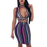 Sexy Multi-Color Stripes Crop Top and Slim Skirt