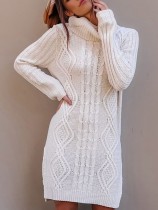 Turndown Collar Sweater Dress with Side Splits