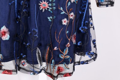 Blue Long Sleeves Embroidery Dress