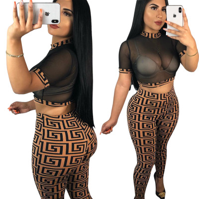 Sexy Print Mesh Crop Top and Leggings