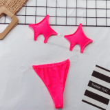 Two-Piece Erotic Thong Swimwear