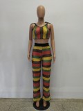 Wide Stripes Colorful Crop Top and Pants