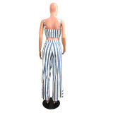 White and Blue Stripes Crop Top and Ruffle Trousers