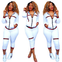 White Tracksuit with Contrast Bands 27855-3