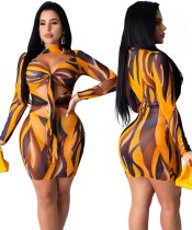 Sexy Long Sleeve Cut Out Colorful Bodycon Dress